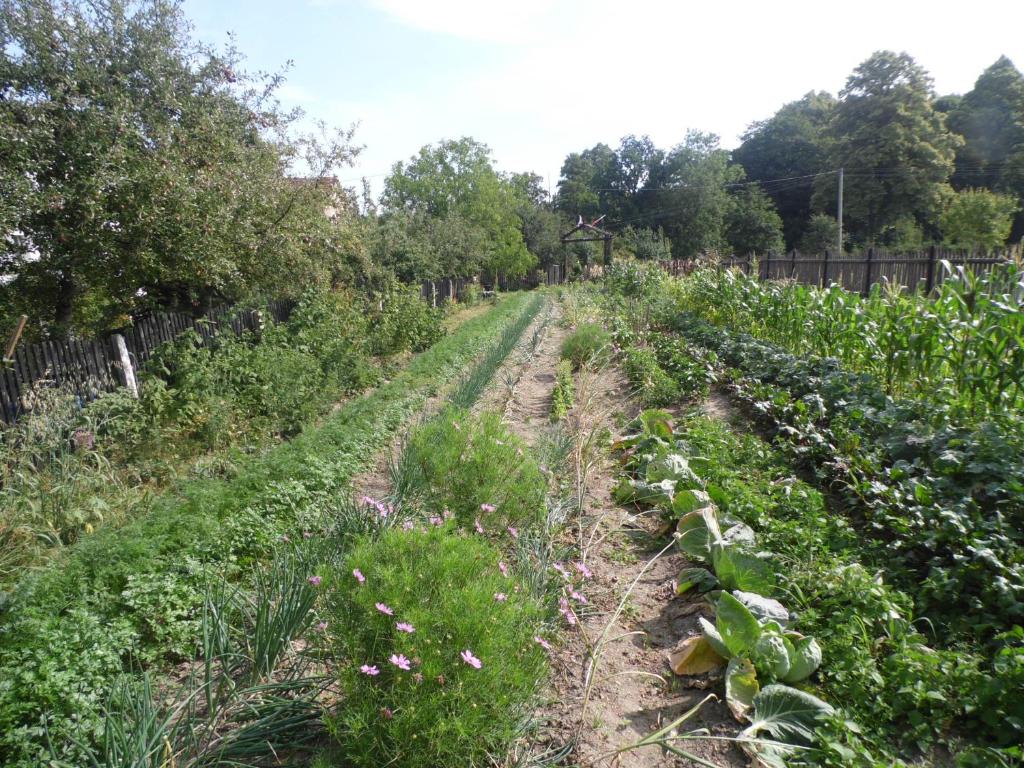 Vonkajšia záhrada v ubytovaní Agroturystyka Leszczynki