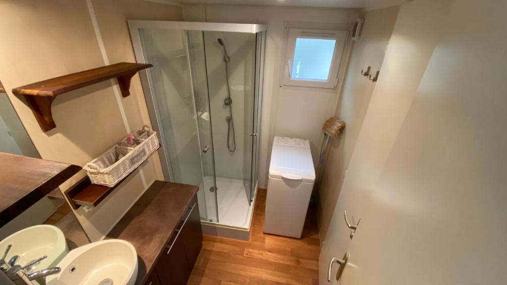 e bagno con doccia, servizi igienici e lavandino. di Mobilhome comfort à la montagne a Saint-Auban