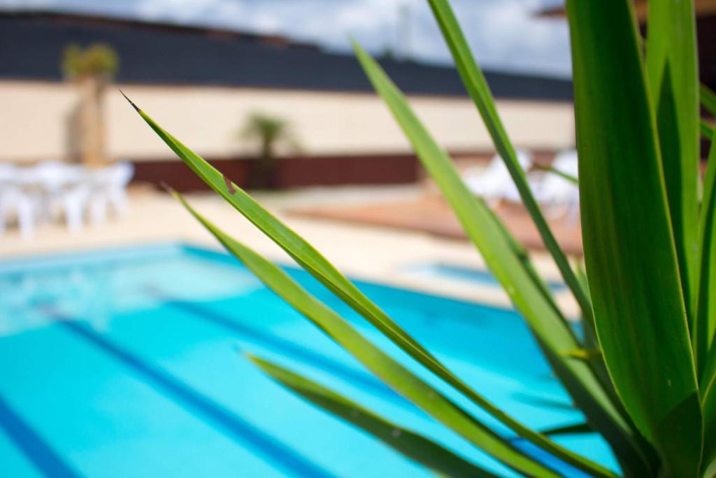 Bazén v ubytování Hostal Inn II Rionegro nebo v jeho okolí