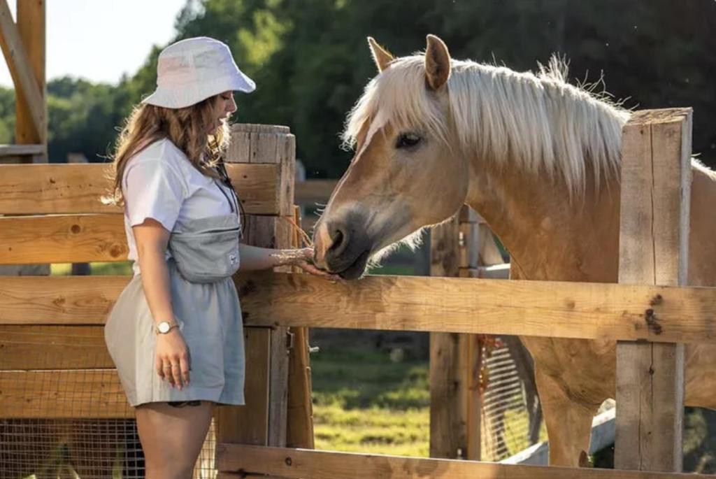 Zvířata v chaty nebo okolí