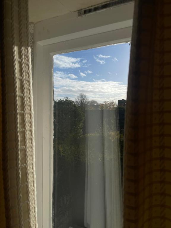 Haigs Hotel - Resim 27