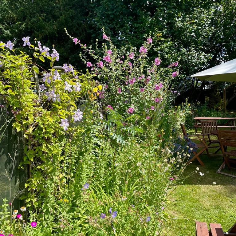 Haigs Hotel - Resim 34