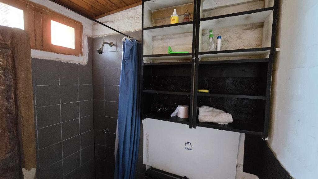 ein Badezimmer mit einer Dusche mit einem blauen Duschvorhang in der Unterkunft Home Sweet Hospedaje Temporal in Cordoba