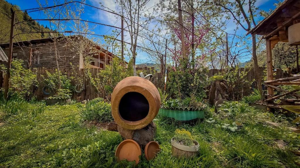Zahrada ubytování Guest House "SVANETI"