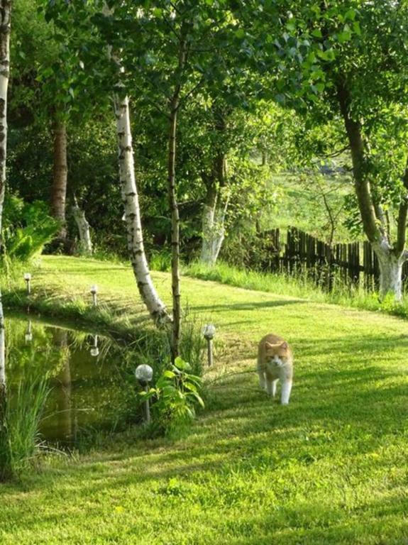 Vonkajšia záhrada v ubytovaní Agroturystyka Leszczynki