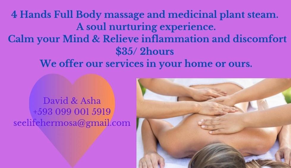 uma massagem corporal completa e uma consulta terapêutica com plantas medicinais para uma mulher grávida em Spacious Cloud Studio Mandango Vista em Loja