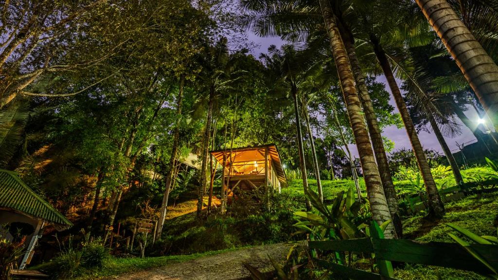 a tree house in the jungle at night at Hotel Kawa Mountain Retreat in Salento