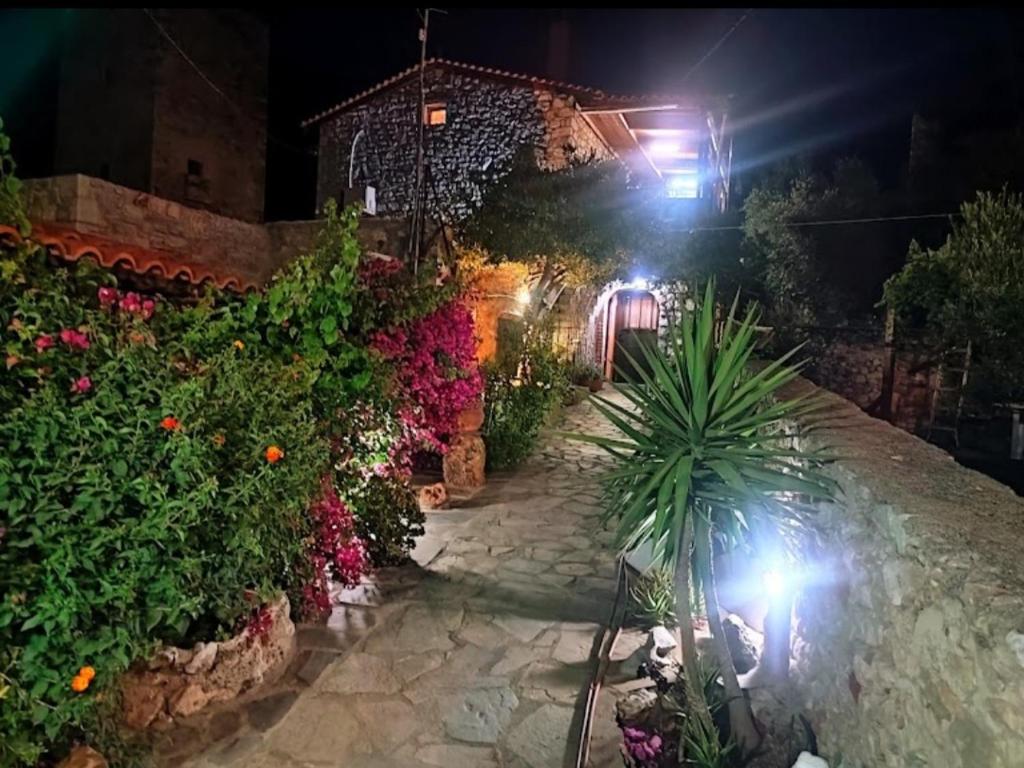 un jardín de noche con flores y un edificio en Villa Pasas, en Koíta