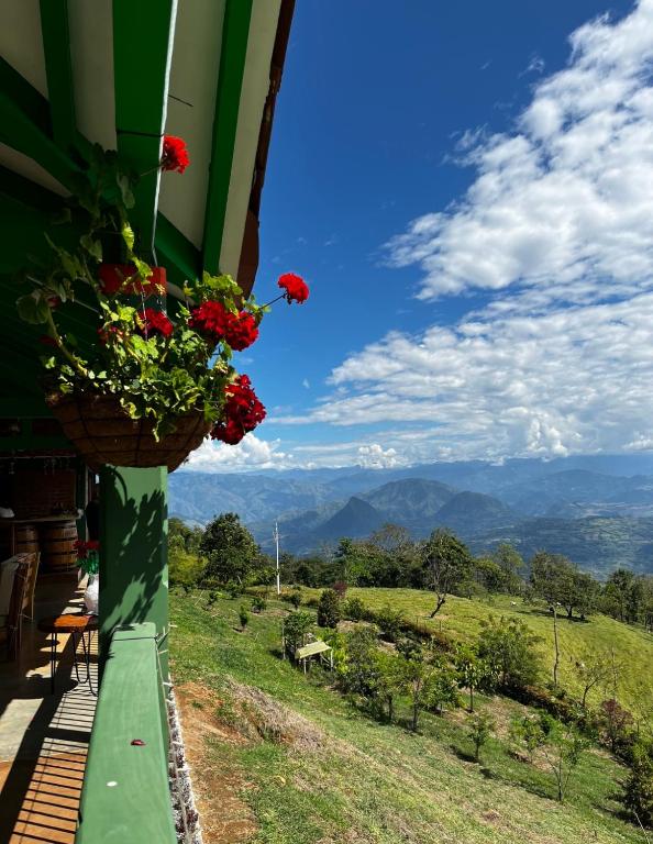 Finca Hotel Isla del Encanto