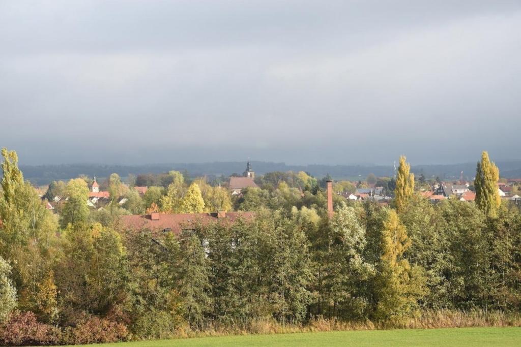 un gruppo di alberi con una città sullo sfondo di Ferienwohnung Rodachtalblick 927 a Bad Rodach
