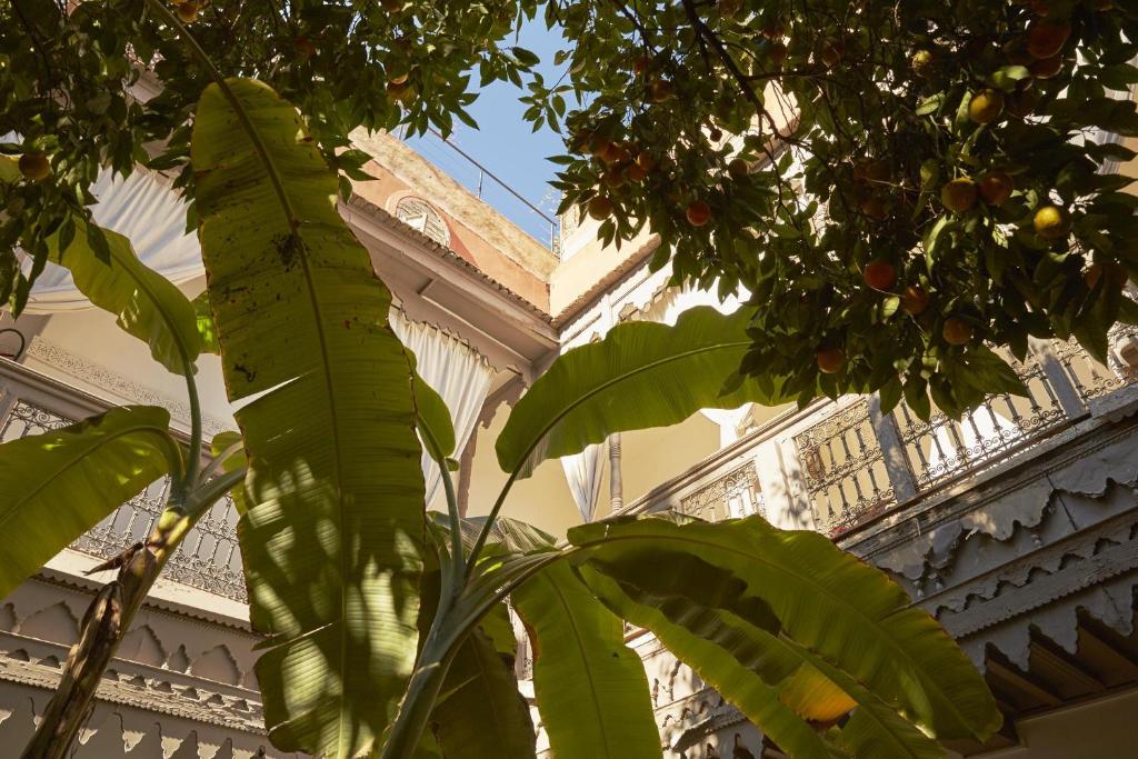 Zahrada ubytování Riad Les Jardins d'Henia