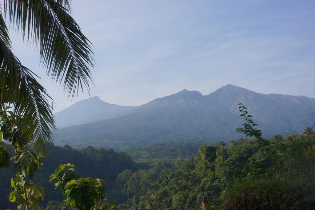 vistas a un valle con montañas en el fondo en Horizon Senaru Villa, en Senaru