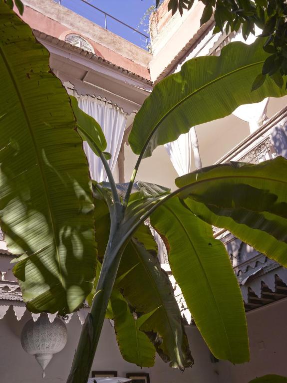 Fotografie z fotogalerie ubytování Riad Les Jardins d'Henia v Marrákéši