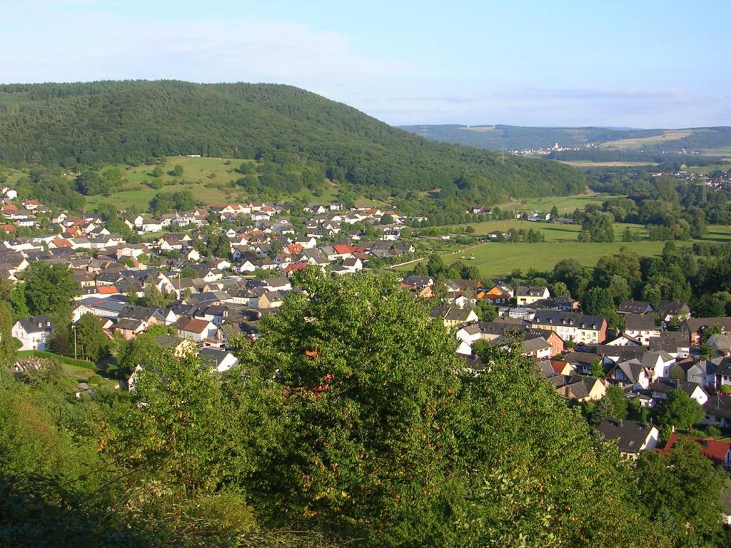 una pequeña ciudad en un valle con árboles y casas en Ferienwohnung Bretz en Dreis