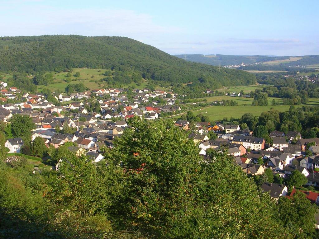 eine kleine Stadt in einem Tal mit Bäumen und Häusern in der Unterkunft Ferienwohnung Bretz in Dreis