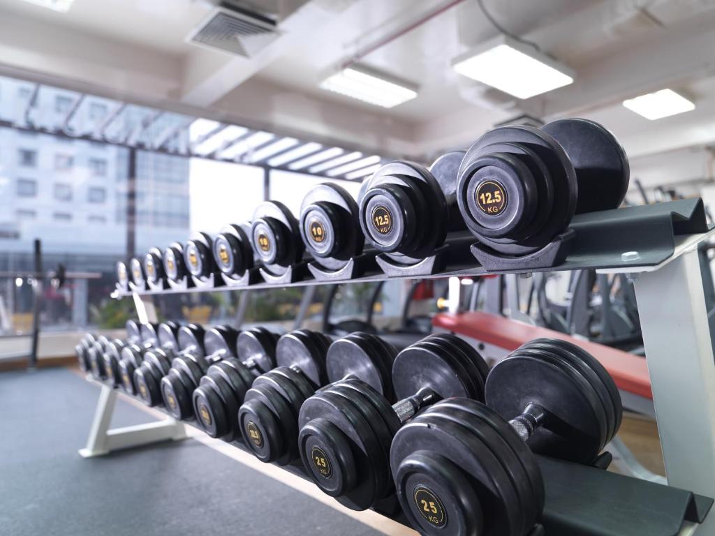 A free-weight area with two racks of dumbbells in a windowed gym.