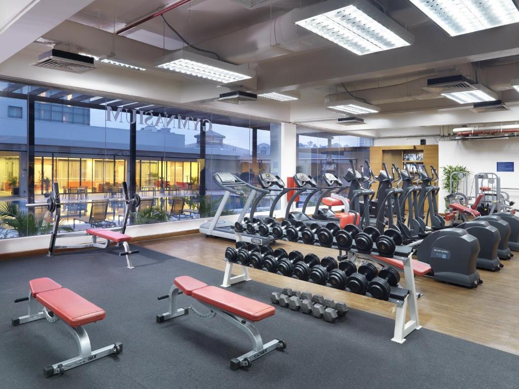 A bright, window-lined gym with treadmills, elliptical machines, weights and benches.