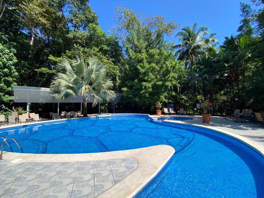 a swimming pool in a resort with trees at Evergreen Lodge in Tortuguero