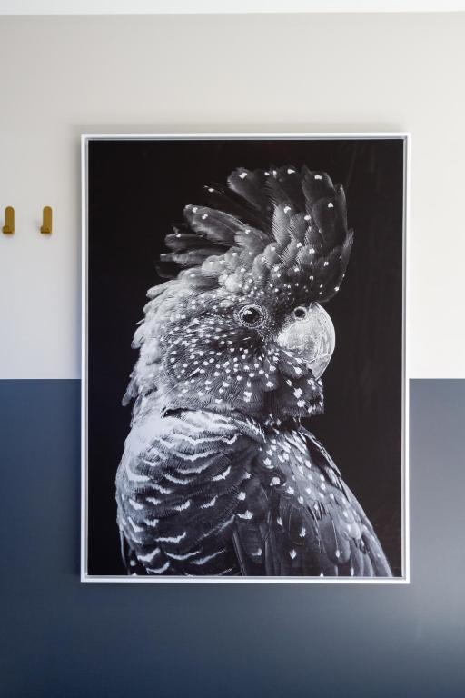 Luxury Without Limits in CBD Christchurch - Resim 10