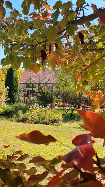 uma casa é vista através das folhas de uma árvore em Oaktree Guest House em Narbethong