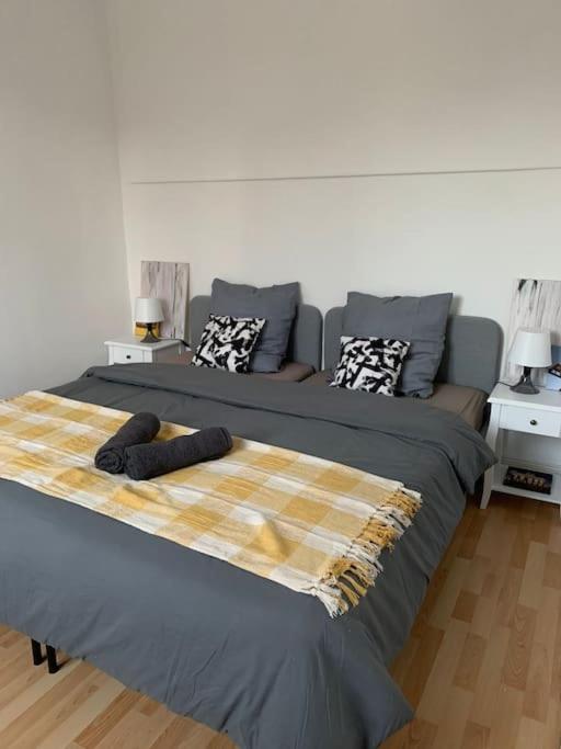 Photo de la galerie de l'établissement Appartement Europe - 3 chambres, à Mulhouse