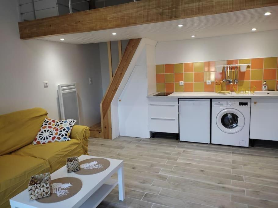 un salon avec un canapé et une machine à laver dans l'établissement MONTALIVET STUDIO MEZZANINE, à Vendays-Montalivet