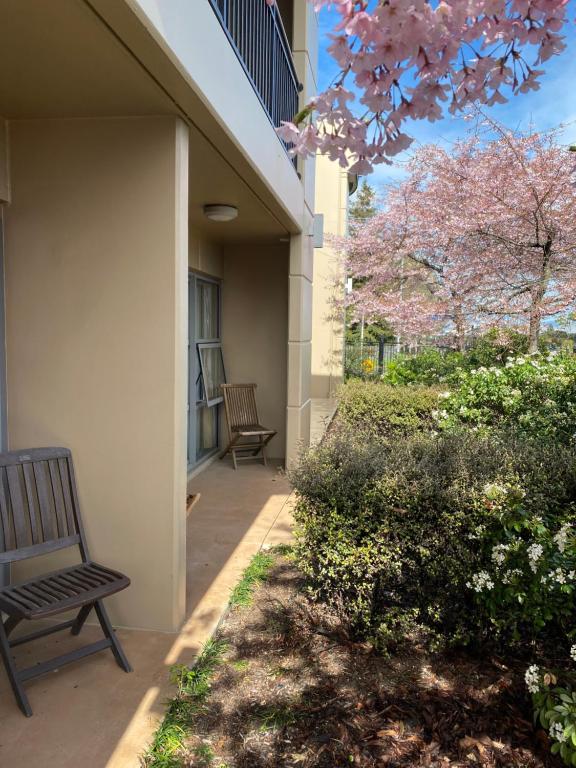 Saxton Lodge - Resim 12