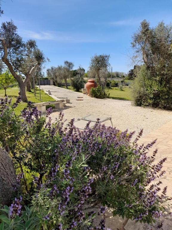 Fotografia z galérie ubytovania Otranto d'Amare v destinácii Casamassella