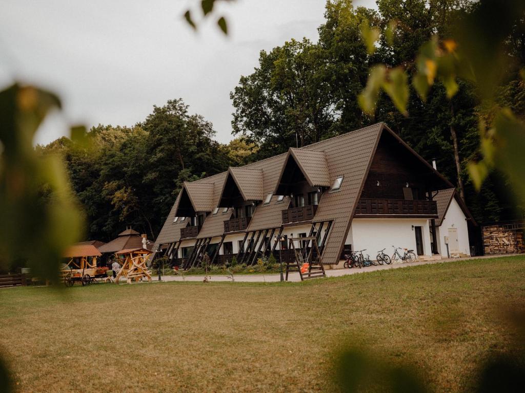 a large house with a gambrel roof at Pensiunea Paradisul Verde in Oglinzi