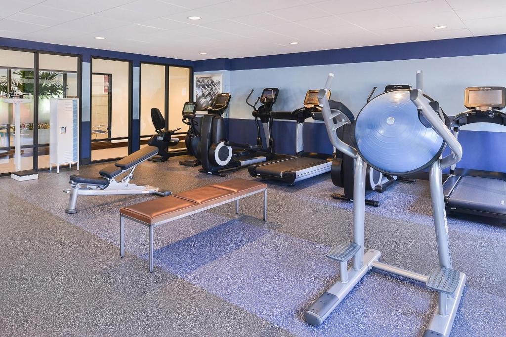 Fitness centrum a/nebo fitness zařízení v ubytování Radisson Hotel Detroit Metro Airport