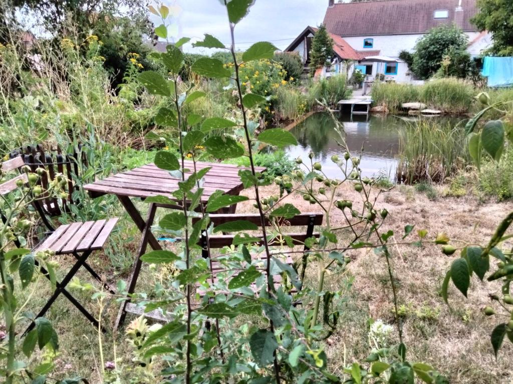 Zahrada ubytování De oude smidse - tuinkamer