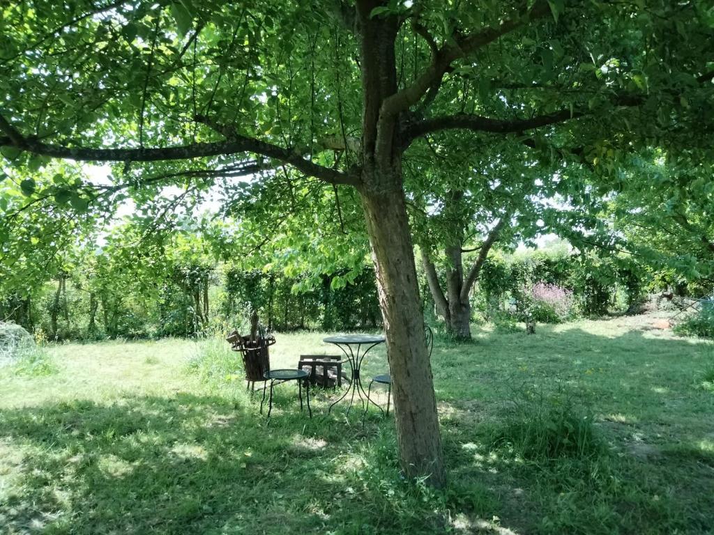 Zahrada ubytování De oude smidse - tuinkamer