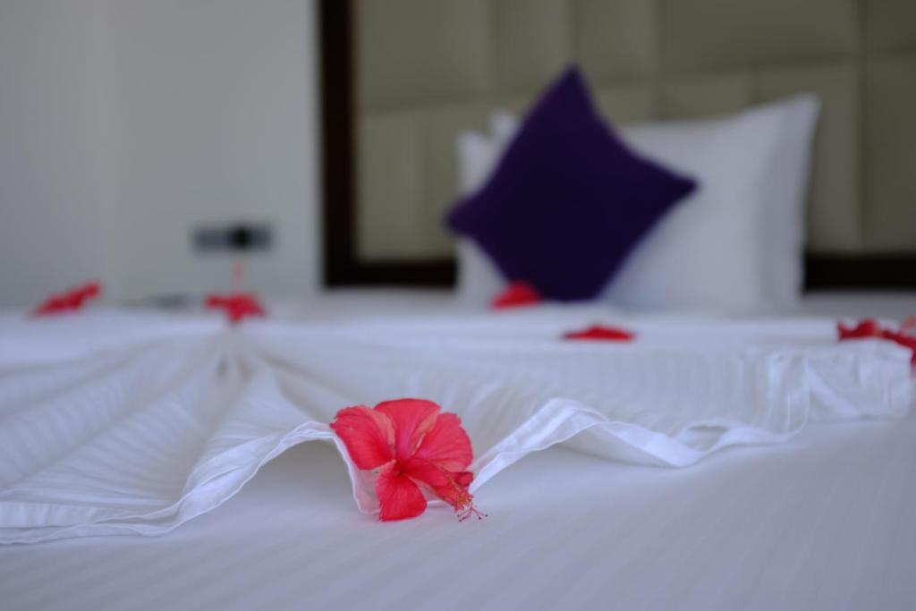 Mzion Hotel Weligama - 2