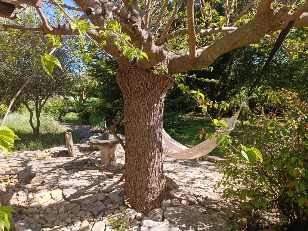 ein Baum mit einer Hängematte, die daran gefesselt ist in der Unterkunft Lou Boulugi in Aix-en-Provence