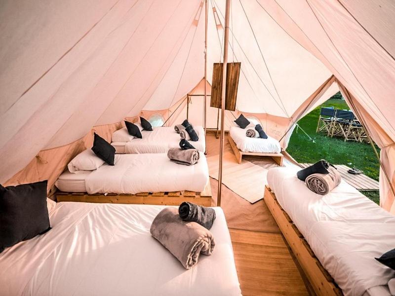 布永的住宿－Lodg'ing Nature Camp Ardennes NEW 2024，帐篷内的四张床位