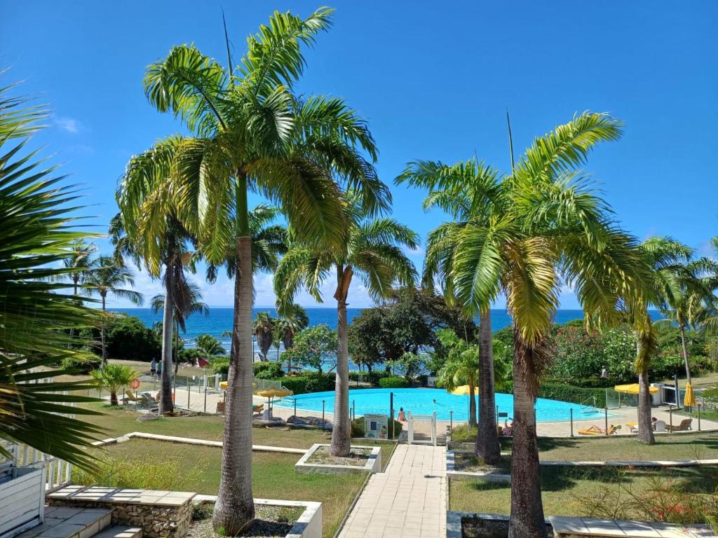 Kolam renang di atau di dekat Studio Ti Karanbol RDC vue mer dans Résidence de Tourisme