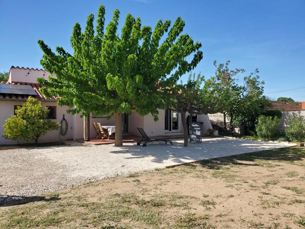un albero e una panchina di fronte a una casa di Villa catalane avec grand jardin, au calme, mer et montagne a Sorède