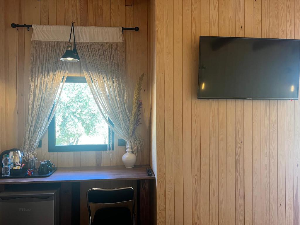 TV a/nebo společenská místnost v ubytování Domain The blaze