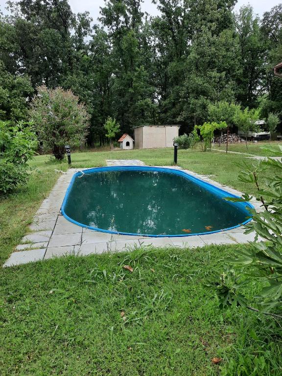 Bazén v ubytování fremdenzimmer nebo v jeho okolí
