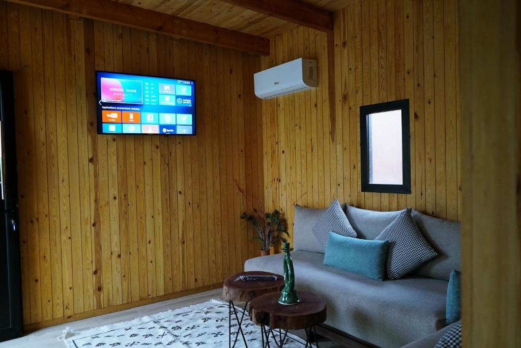 TV a/nebo společenská místnost v ubytování Domain The blaze