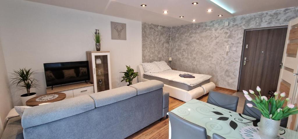 Televízia a/alebo spoločenská miestnosť v ubytovaní Apartament-Studio Polana Szaflarska