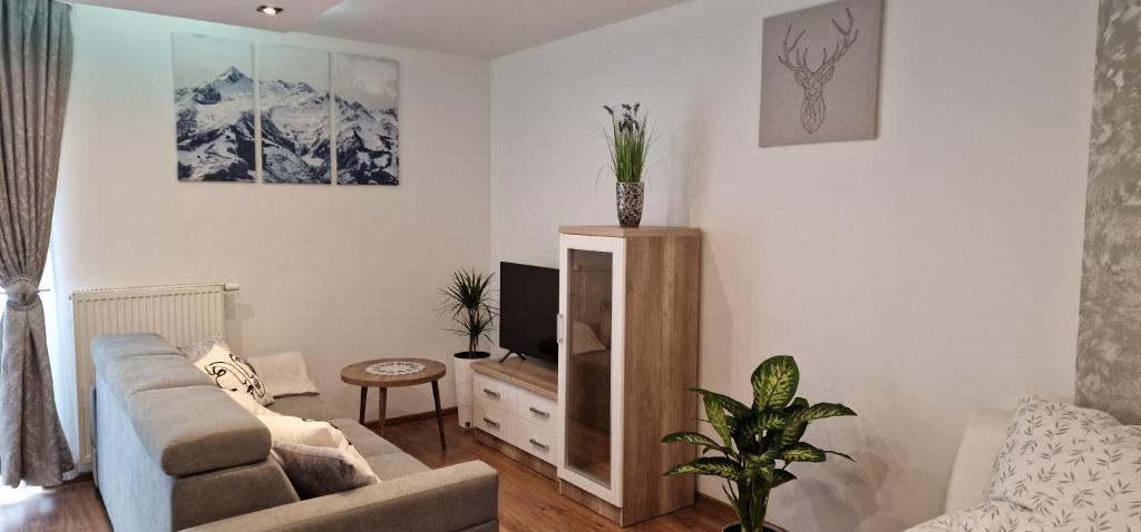 Televízia a/alebo spoločenská miestnosť v ubytovaní Apartament-Studio Polana Szaflarska