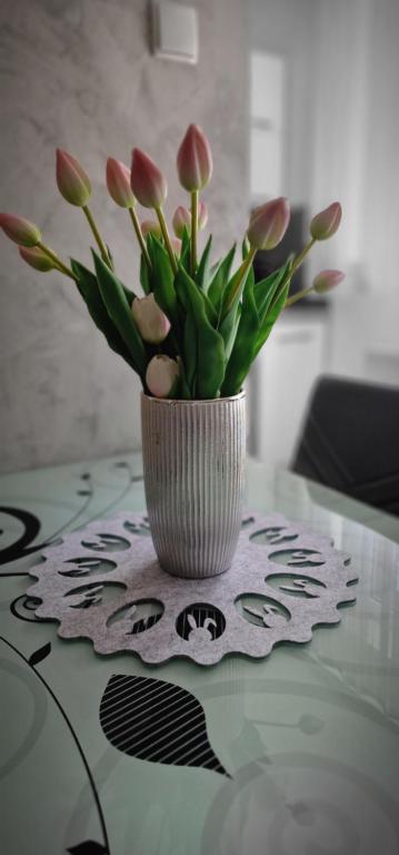 Fotografia z galérie ubytovania Apartament-Studio Polana Szaflarska v Nowom Targu