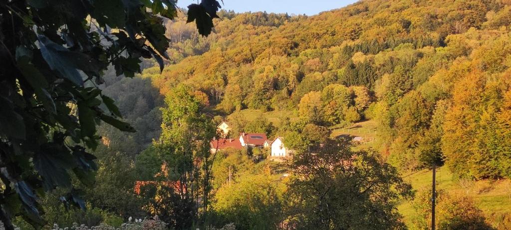 Příroda nedaleko bed and breakfast