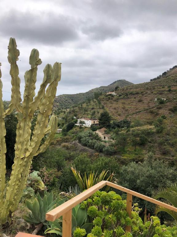 Natuurlandschap vlak bij het vakantiehuis
