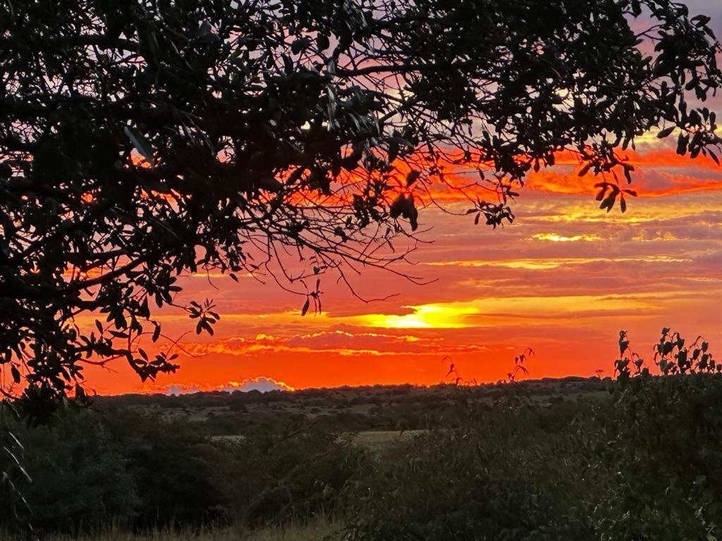 Alba o tramonto visti dall'interno di questo campeggio di lusso o dai dintorni