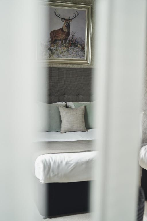 The Cults Hotel - Resim 10