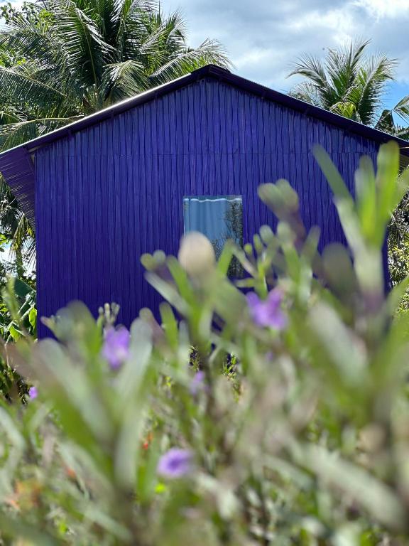 Zahrada ubytování Hide Away Bungalows in Ben Tre City