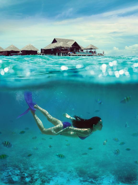 Taj Exotica Resort & Spa, Maldives - Free Airport Transfers - View 18