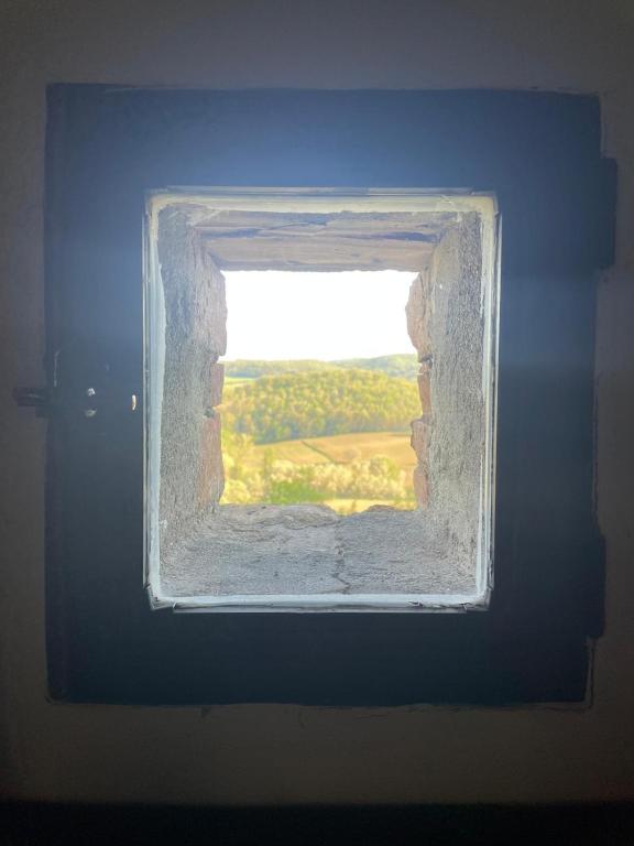 Príroda v okolí apartmánu